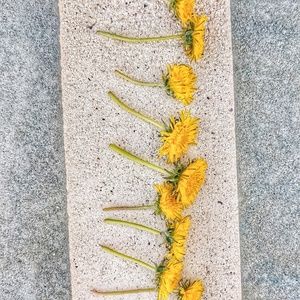 Meet your Posher, Virginia